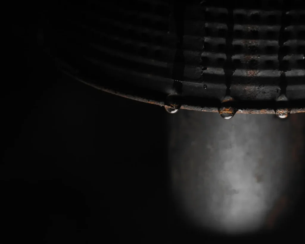 Shower head