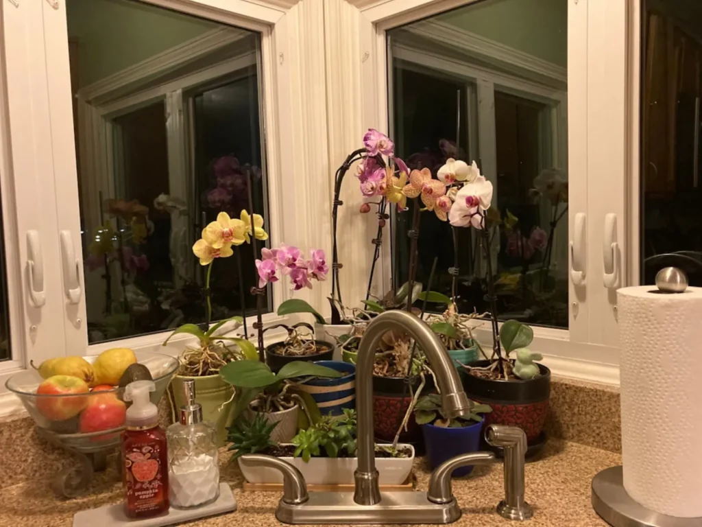 Under sink filter
