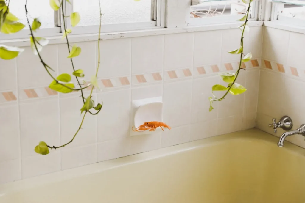 Bathtub cleaning product